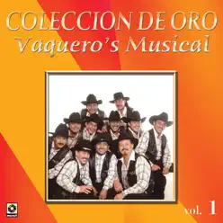 Entre Suspiro Y Suspiro - Vaqueros Musical