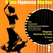 Ritmo Flamenco Rhythm 2: Alegrías/Bulerias de Cádiz artwork