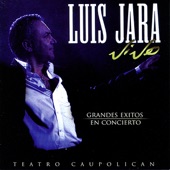 Luis Jara Vive : Grand Éxitos en Concierto - Teatro Caupolican artwork