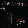Fase Flamenca, 2010
