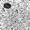 The Shade - Paper Machine
