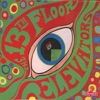 The Psychedelic World of the 13th Floor Elevators, 2006