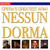 Turandot: Nessun dorma artwork