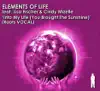 Stream & download Into My Life (You Brought the Sunshine) [feat. Lisa Fischer & Cindy Mizelle] - EP