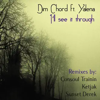 I'll See It Through (feat. Yalena) by Dim Chord & Yalena album reviews, ratings, credits