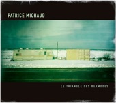 Patrice Michaud - Des trous dans les bas