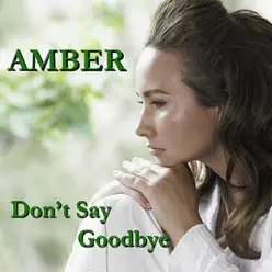 Don't Say Goodbye - Single - Amber
