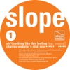 Ain't Nothing Like This Feeling - Single