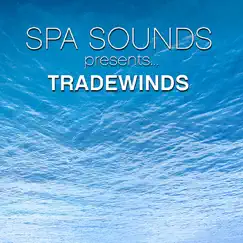Tradewinds by Spa Sounds Musicians album reviews, ratings, credits