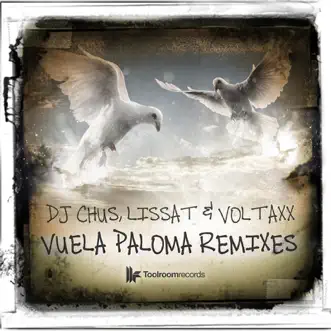 Vuela Paloma (Abel Ramos & Raul Cremona Iberican Remix) by DJ Chus, Lissat & Voltaxx song reviws