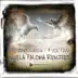 Vuela Paloma (Abel Ramos & Raul Cremona Iberican Remix) song reviews