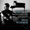 Schubert: Piano Sonatas D 840 & D 850, 6 German Dances, Hungarian Melody album lyrics, reviews, download