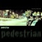 Pedestrian (Radio Mix) artwork
