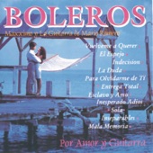 Boleros Por Amor y Guitarra artwork