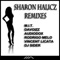 Sharon Halicz (Rodrigo Melo Remix) - The Ladies lyrics