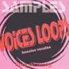 Illustrations Sonores - Voice With Band Main