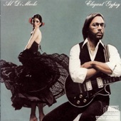 Al Di Meola - Flight over Rio