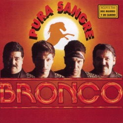 Bronco - Me Lástima (Tu Recuerdo Me Lastima)