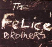 The Felice Brothers - Whiskey In My Whiskey