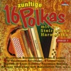 16 zünftige Polkas mit der Steirischen Harmonika, Folge 3