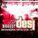The Biggest Desi Bhangra Hits, Vol. 2 - Various Artists