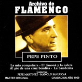 Archivo de Flamenco Vol.9 (Pepe Pinto) artwork