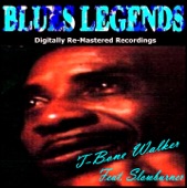 Blues Legends (feat. Slowburner)