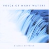Voice of Many Waters