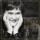 Susan Boyle-How Great Thou Art