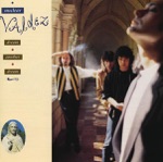 (Share a Little) Shelter