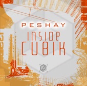 Inside Cubik artwork