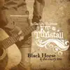 Black Horse & the Cherry Tree song lyrics