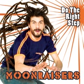 Rise Up (Moonraisers Remix) artwork