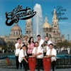 Los Elegantes - Soy Parrandero