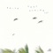 Sails cover