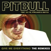 Pitbull - Give Me Everything (feat. Afrojack & Ne-Yo)