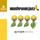 Mushroom Jazz Vol. 4 artwork