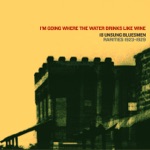 I'm Going Where the Water Drinks Like Wine (18 Unsung Bluesmen) [Rarities 1923-29]