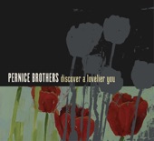 Pernice Brothers - Say Goodnight to the Lady