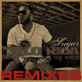 Flo Rida - Sugar (Mondotek Remix)