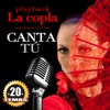 20 Coplas Instrumentales. Canta Tu, 2011