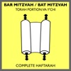Bar Mitzvah / Bat Mitzvah Torah Portions: Va-Y'chi (Complete Haftarah)
