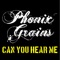 Can You Hear Me ( Frenk Dj & Joe Maker Remix ) - Phonix Grains lyrics