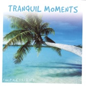 Tranquil Moments artwork