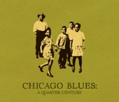 Buddy Guy - Try to Quit You Baby