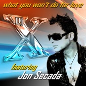 What You Won't Do for Love (Club Mix) artwork