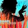 Bad Seeds - EP