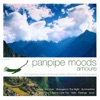 Panpipe Moods: Amoure