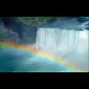 Phenomenal (Get Your Rainbow On) [feat. Shannon Conley] - Single album lyrics, reviews, download