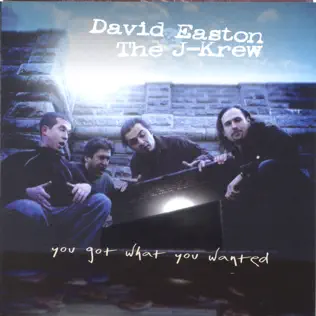 descargar álbum David Easton & The J Krew - You Got What You Wanted